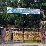 Cebu zoo