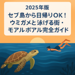 セブ島から日帰りOK！ウミガメと泳げる街・モアルボアル完全ガイド【2025年版】