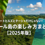 チョコレートヒルズとターシャだけじゃない！ボホール島の楽しみ方まとめ【2025年版】