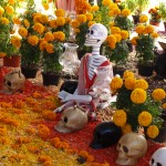 The day of the Dead!