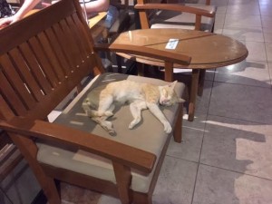 2726403c-627d-4897-b695-b6ee0559e7dc