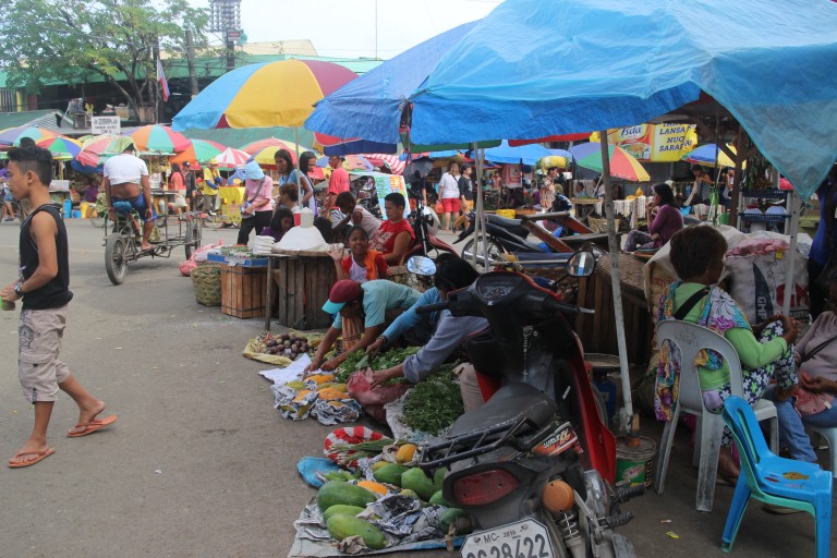 【カーボンマーケット】セブ市民の台所に行ってみた!