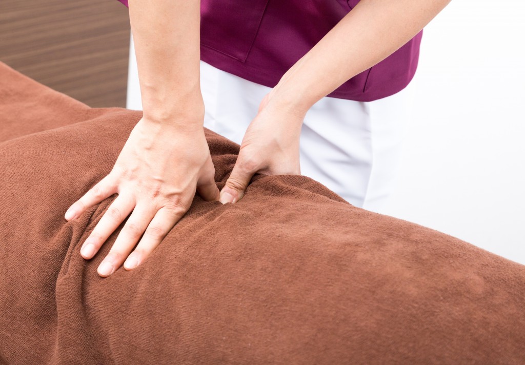 --www.pakutaso.com-shared-img-thumb-OMG151018470I9A2342