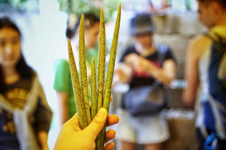 18739706_10214041440817229_2061674175914274412_n