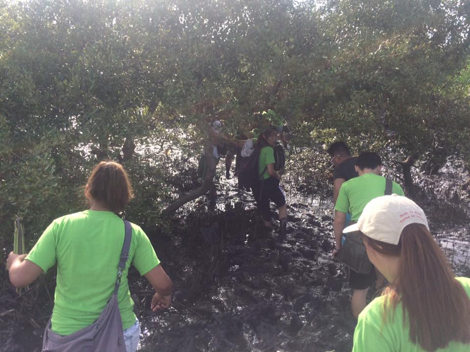 18767820_1763538590328798_2739028975452830295_n