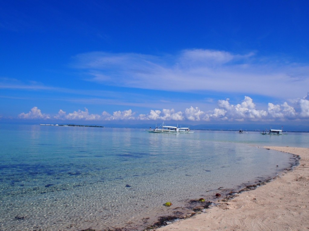 20170610-11 Shinji_170615_0021