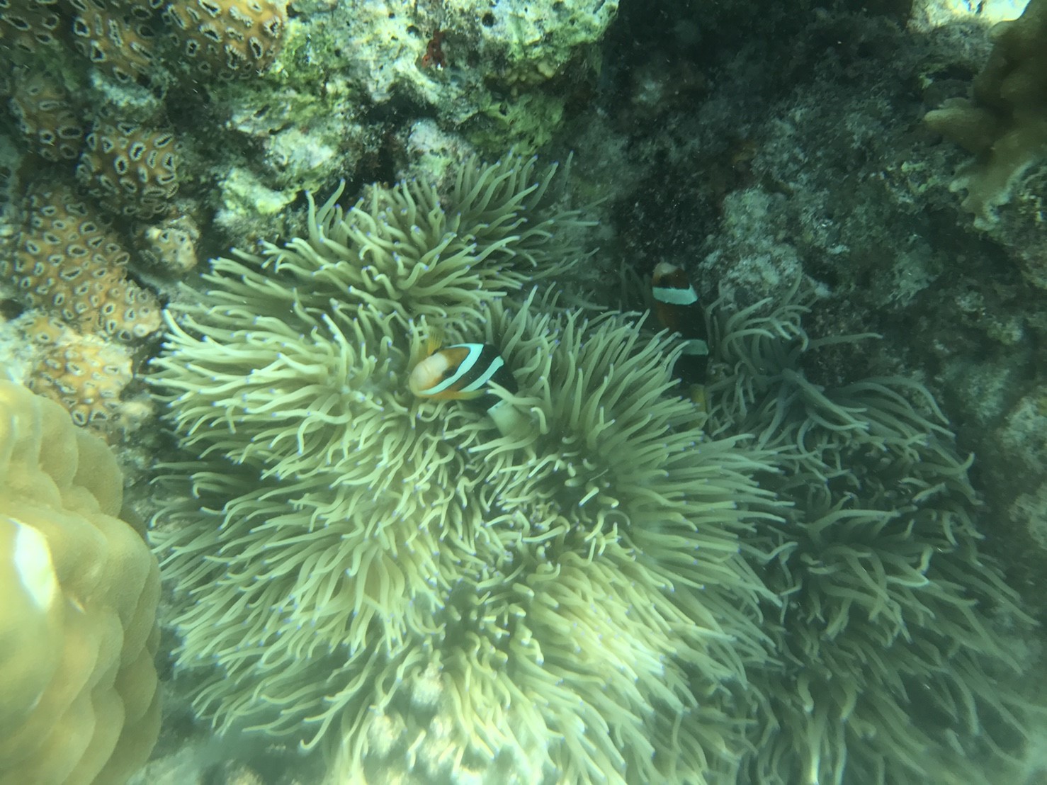 5th Caohagan island_171004_0316