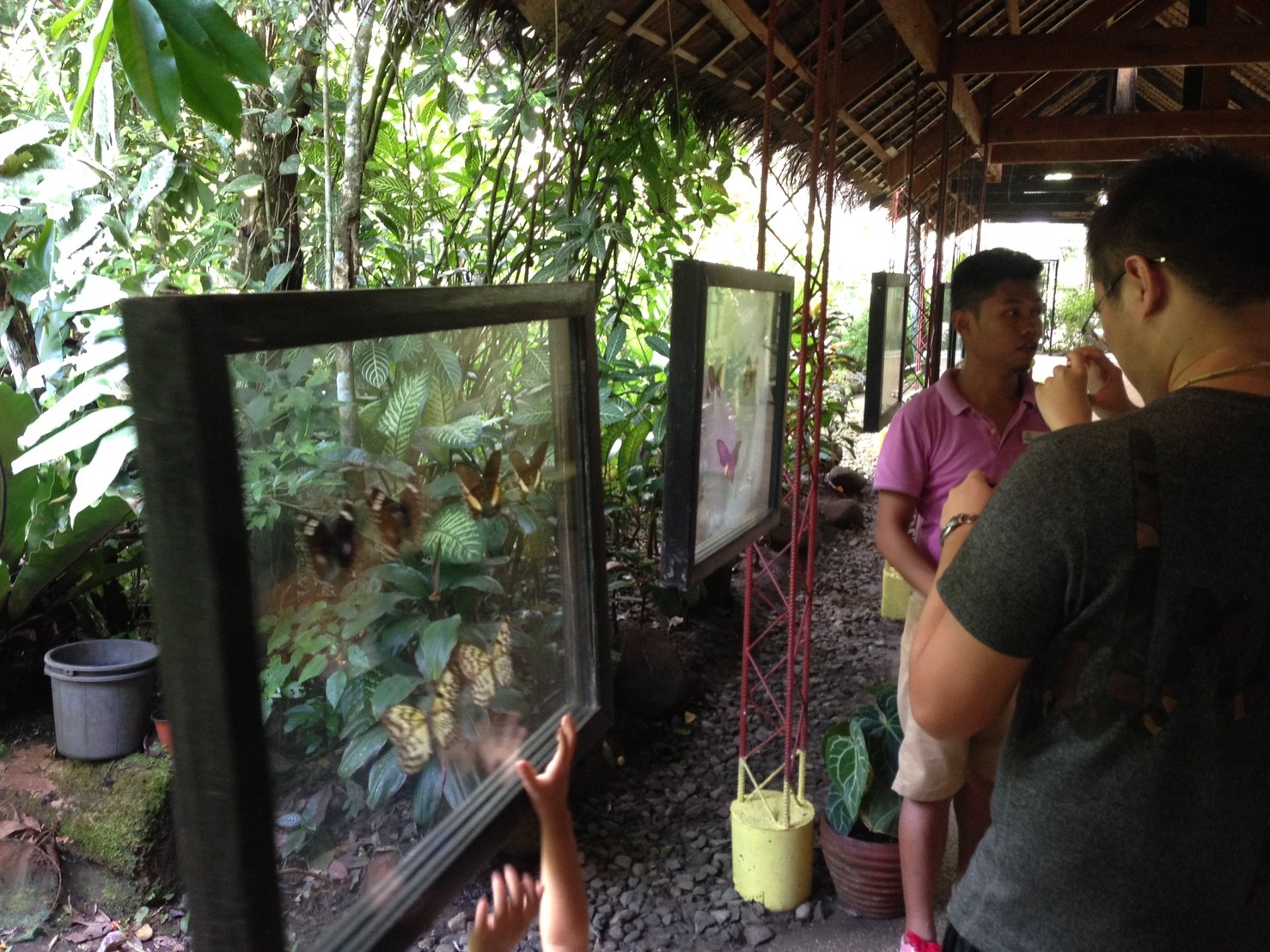 ボホールツアー10月1日_171011_0062