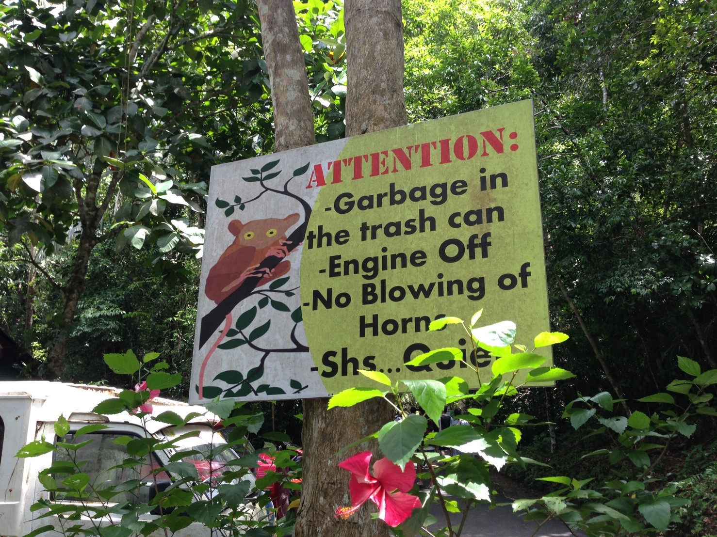 ボホールツアー10月1日_171011_0085