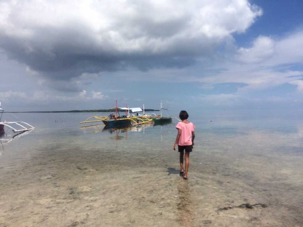 D513567E-DC3E-46DE-9130-E073E74B6789