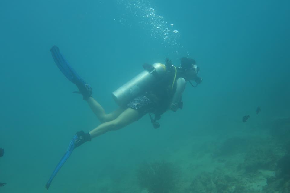 11925679_501852003310693_2014385408_n