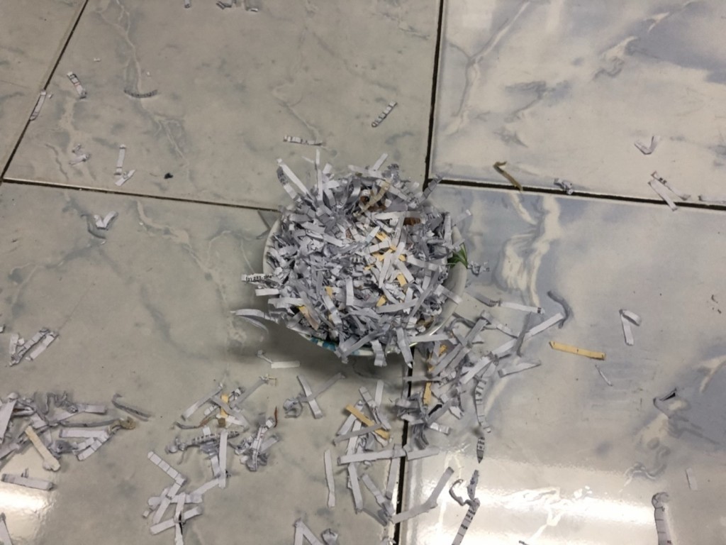 36475163-FFA6-433F-A310-B8C5FD42A72A