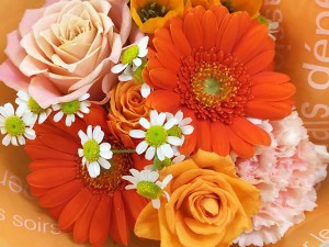 A6872709-592A-4E19-B159-3BE60850E952