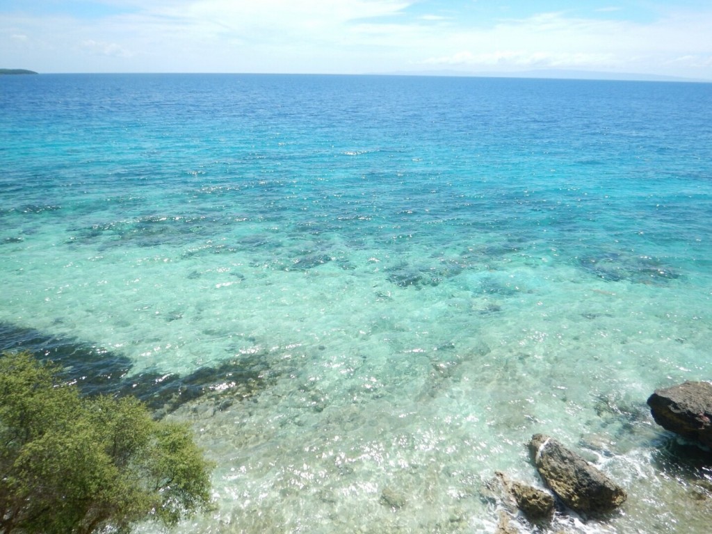 290804D7-5EC7-4BC7-B8C7-8108B7534B6F