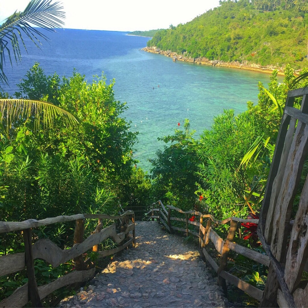 50F11FF4-E830-4D46-939E-6BDED32257CA