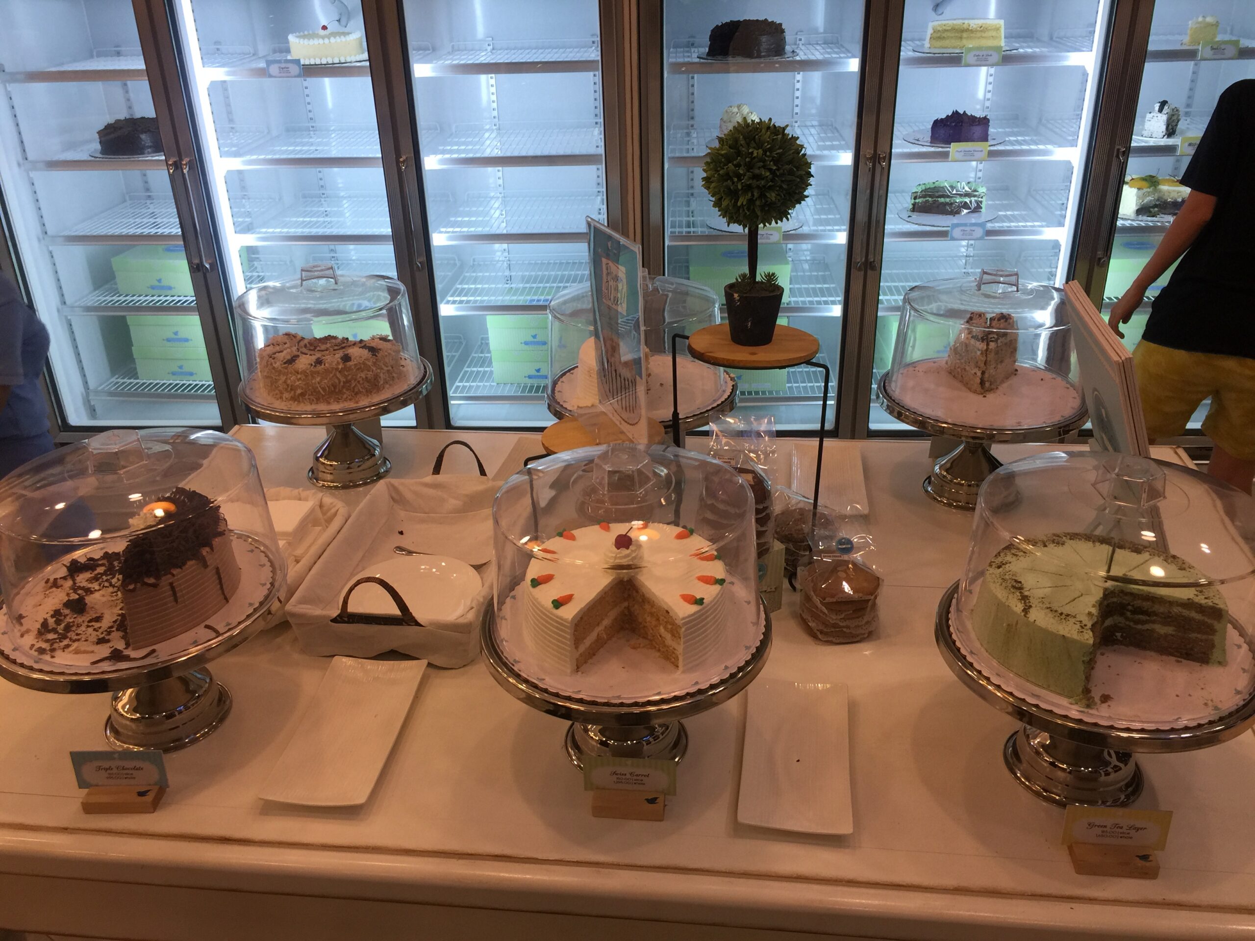 5422B3A4-E169-4777-B152-895F3D40EFB8