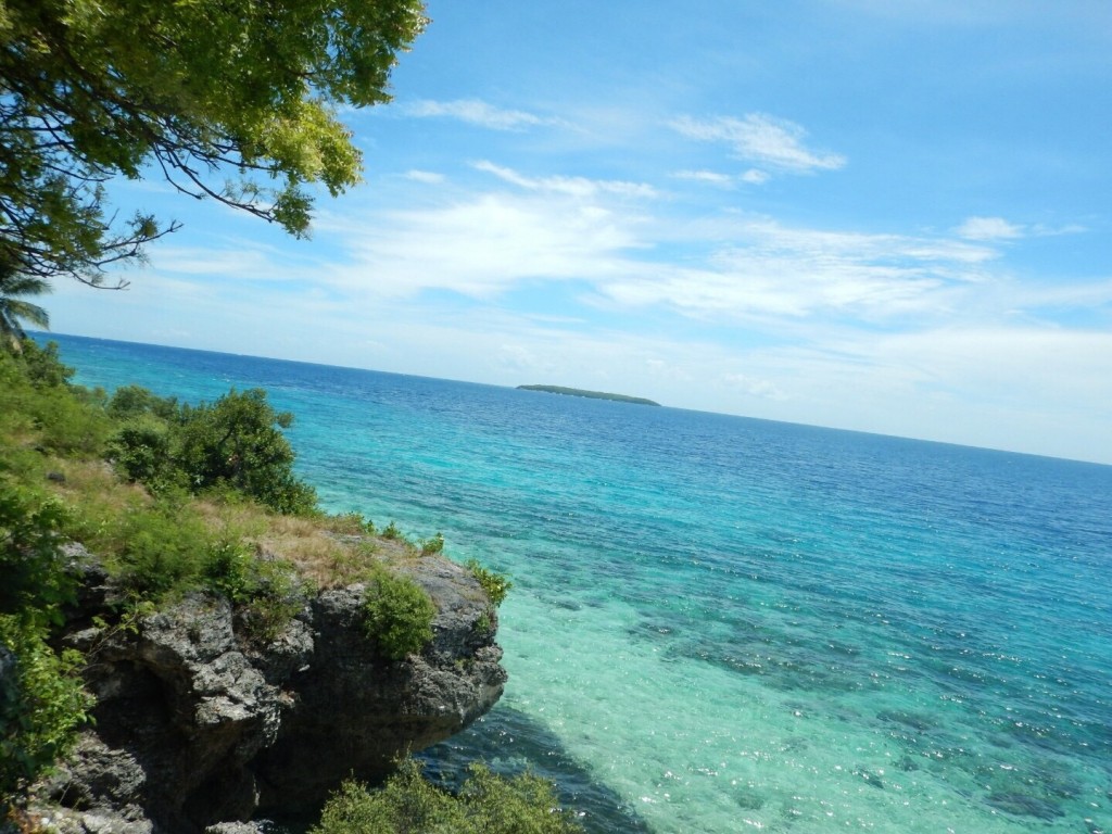 6EF39619-1A7E-4AAD-862E-B834C8D51FF1