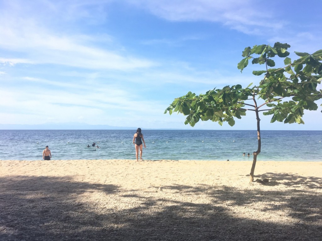 A540B678-F0C8-4D28-9BD5-A159030FB8CC