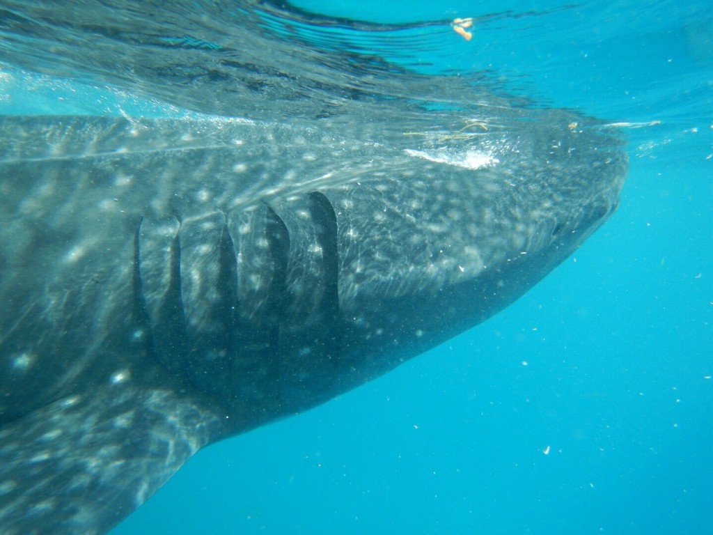 E587D54E-C5F4-4F8A-996B-7C22A5E0875B