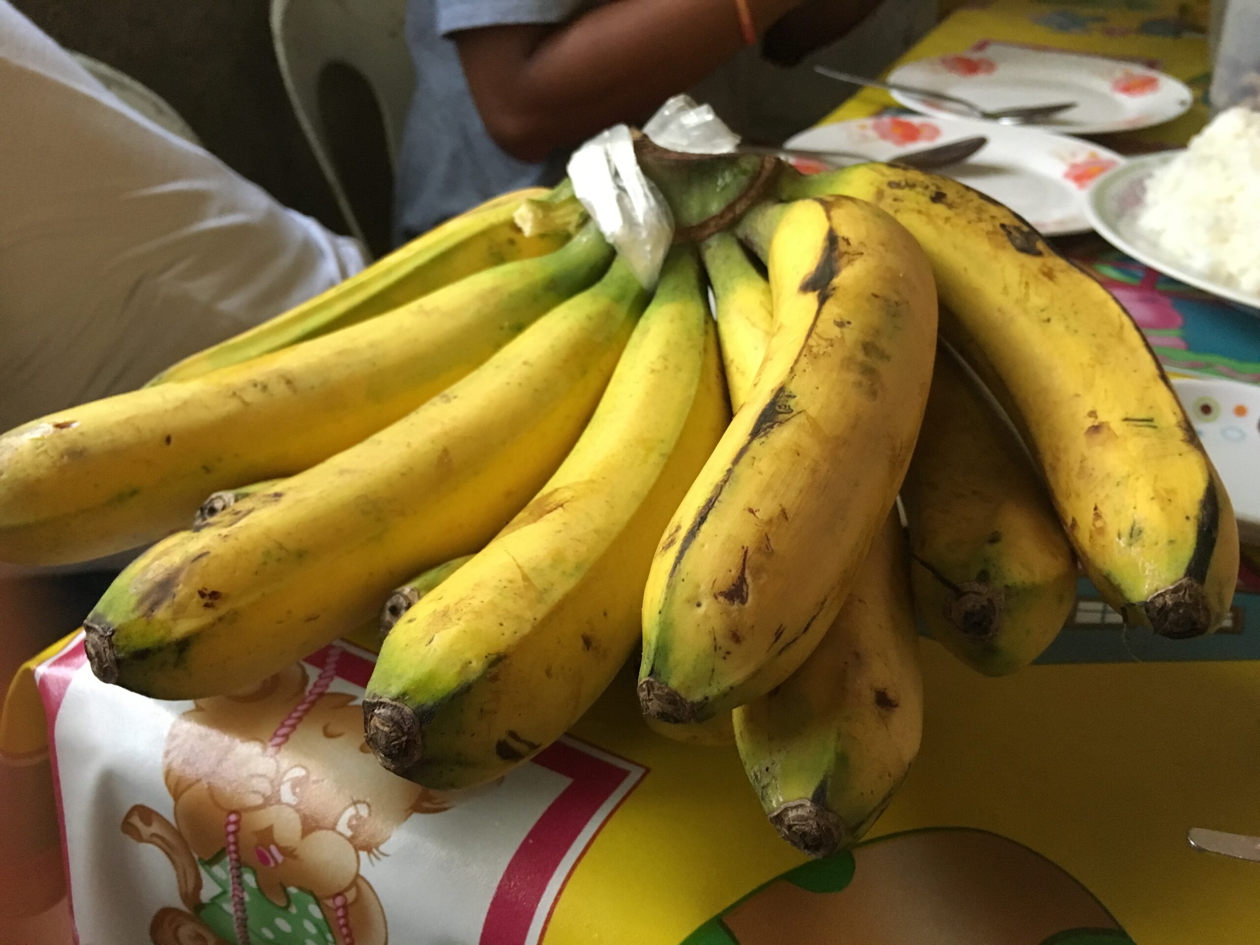 0061180E-F047-4CF6-8934-165005C15848