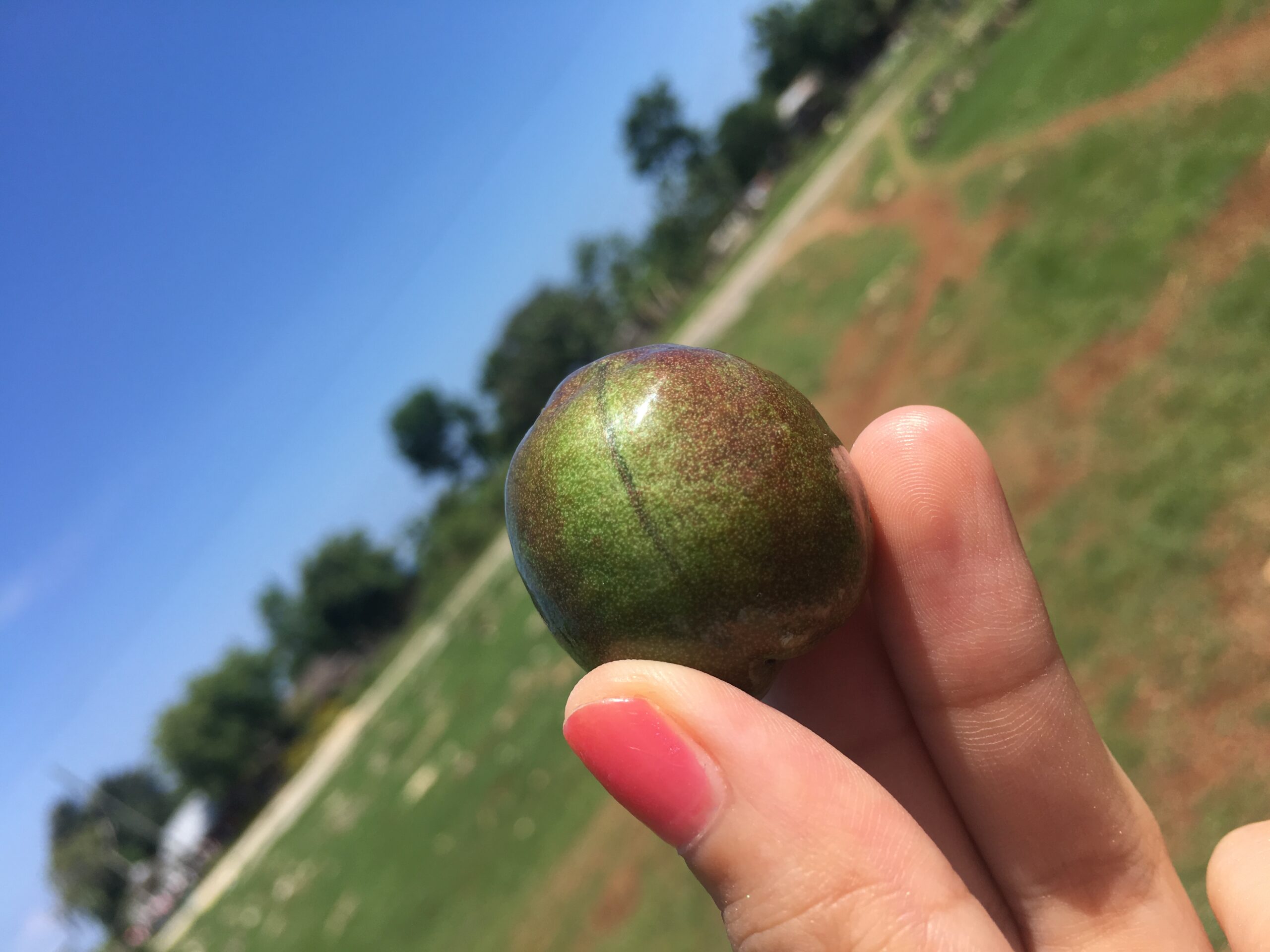 BDAE1CF4-58C6-48C0-AE21-C644C5911324