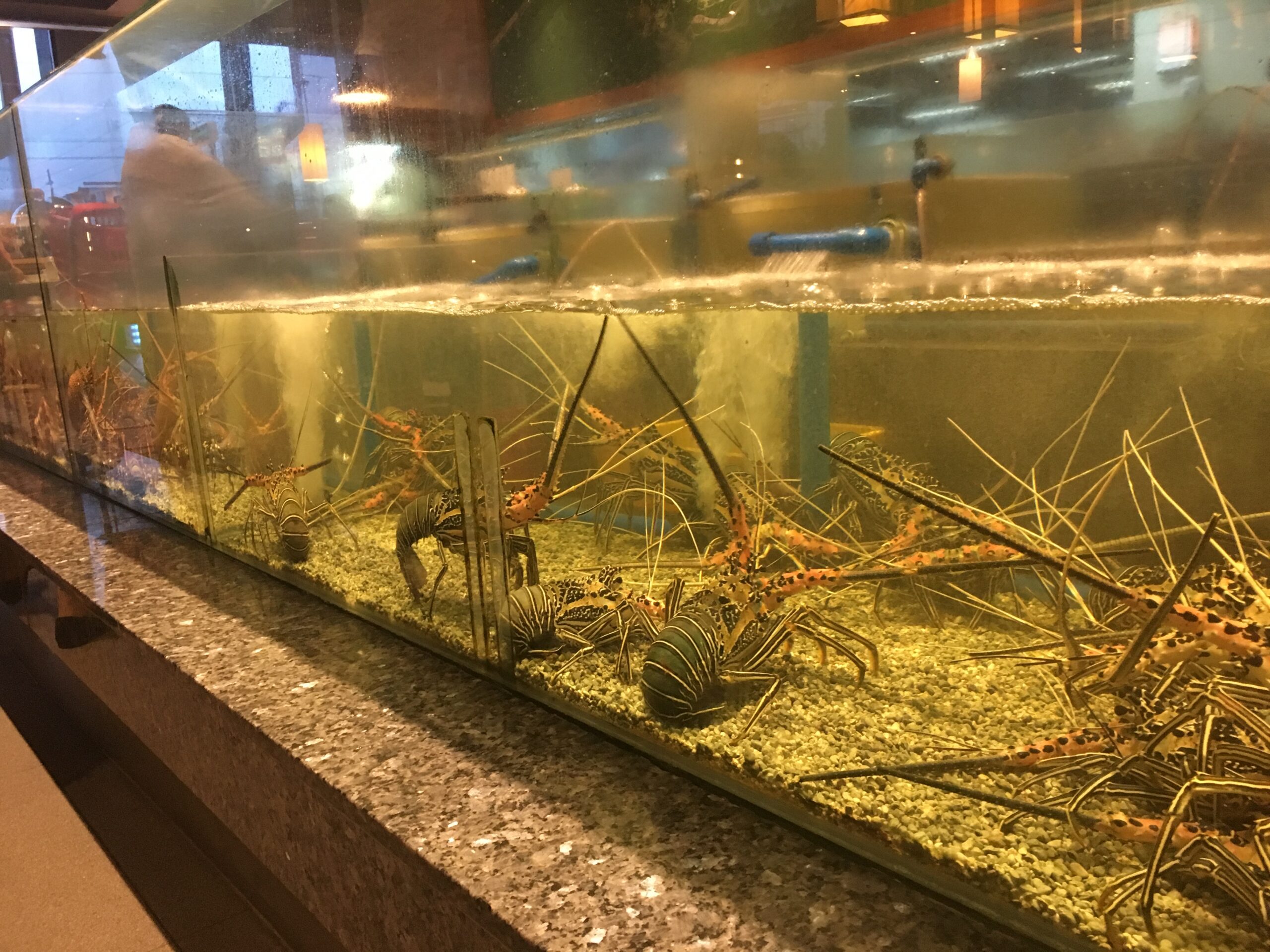 EF249EE9-E072-4941-85A1-654F23C55101