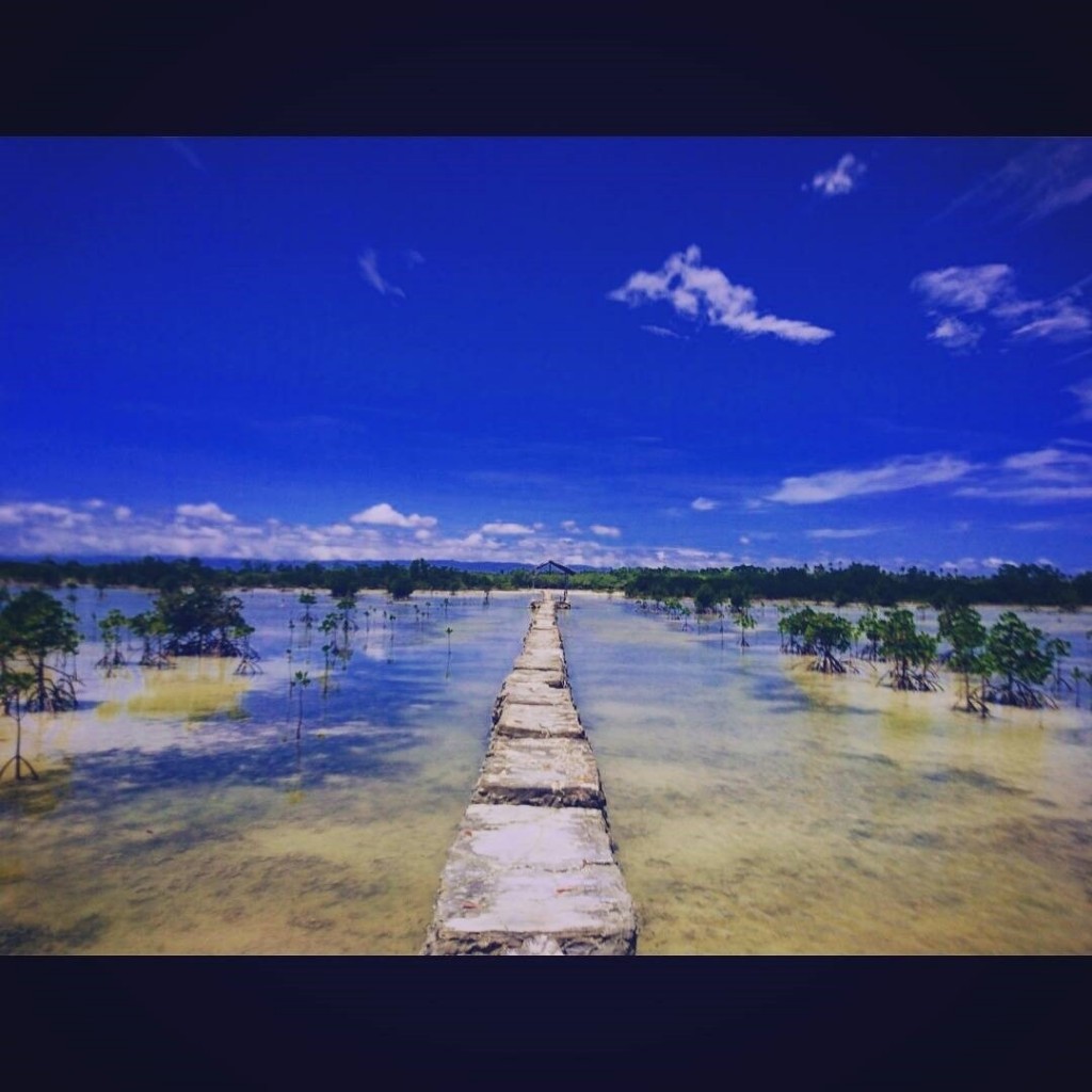 20180920_180920_0007