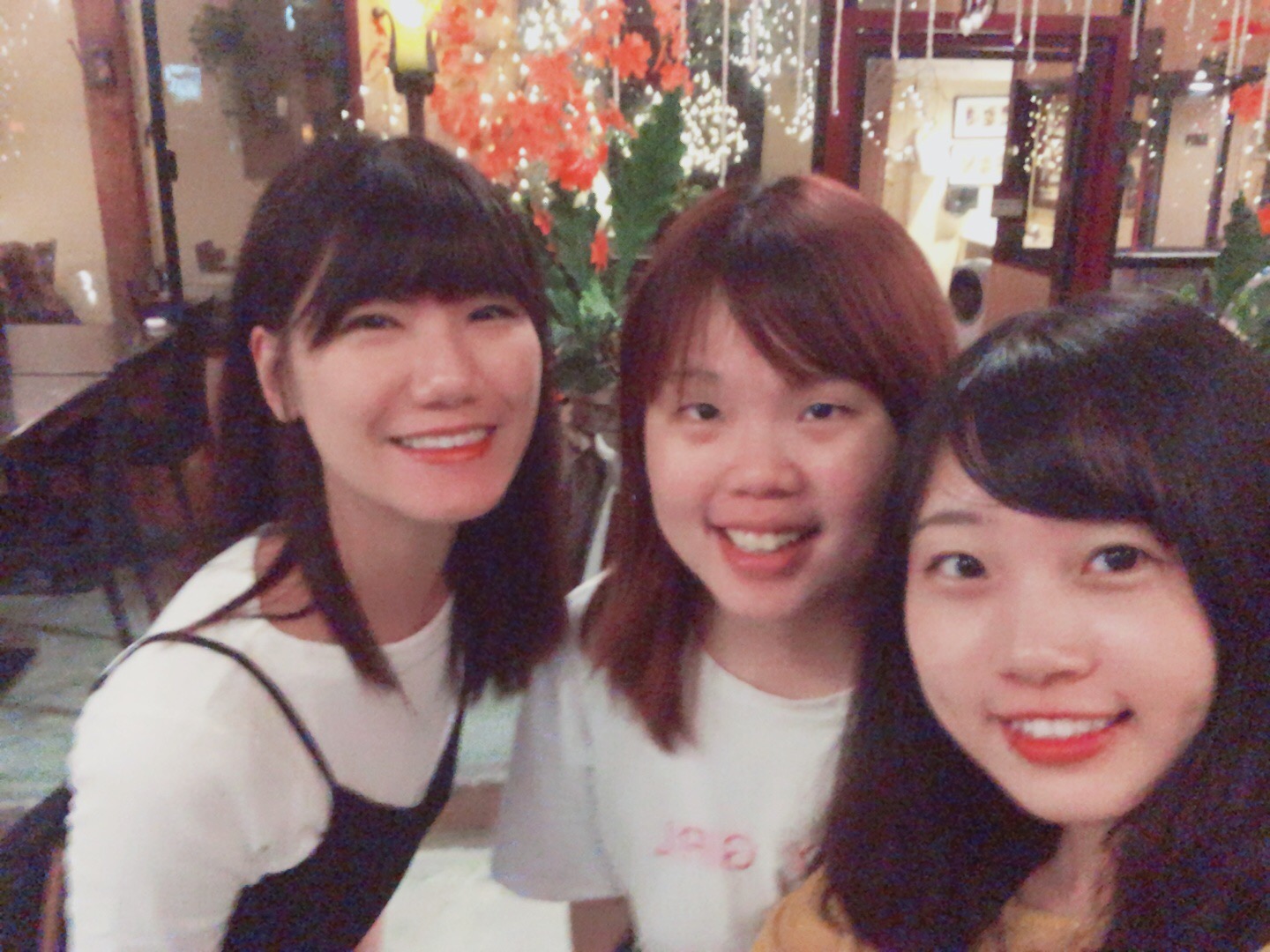 Processed with MOLDIV