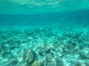 1026F05F-7895-499C-A7C3-DA7A6FF37CE7