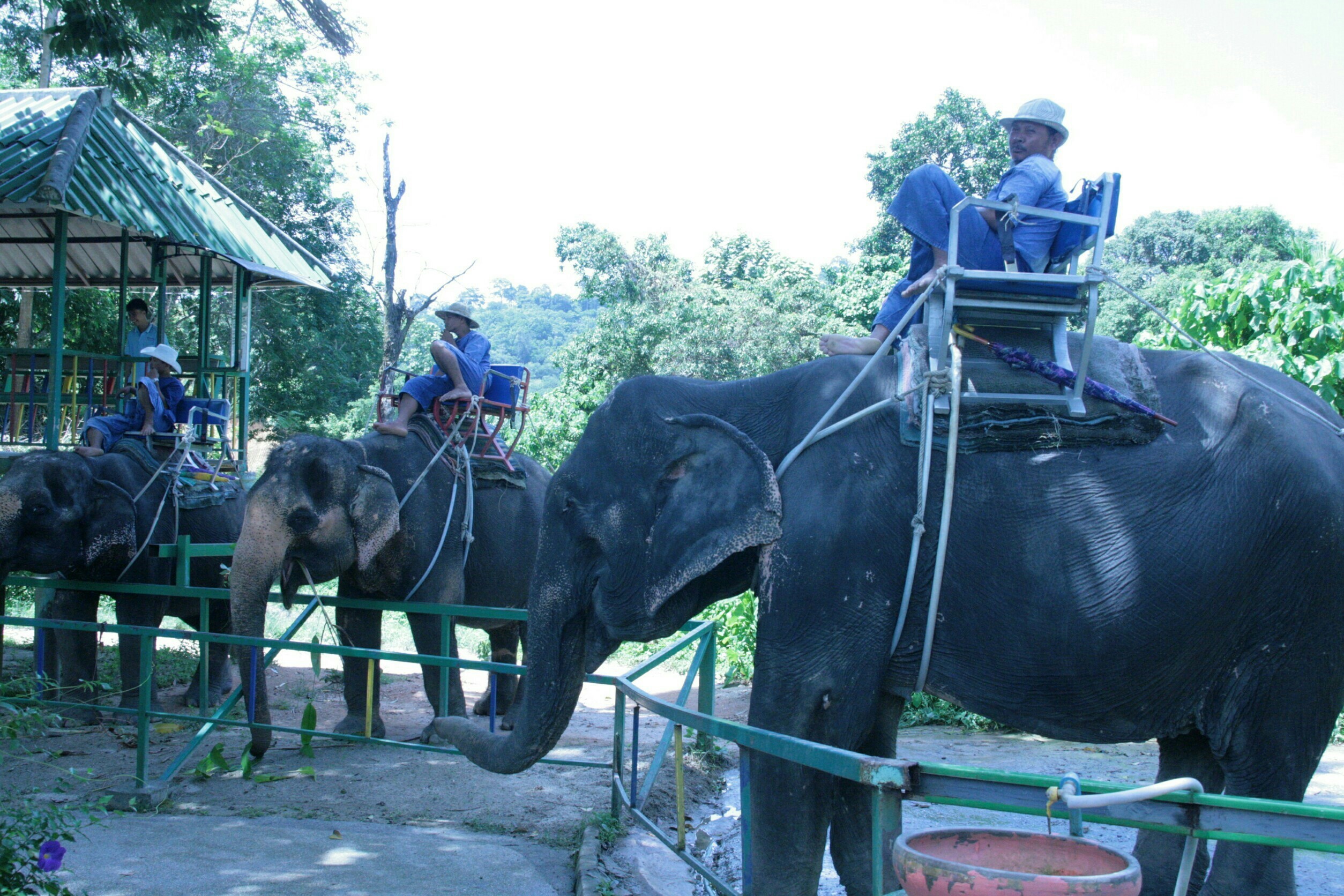 1608~1908_181005_0084