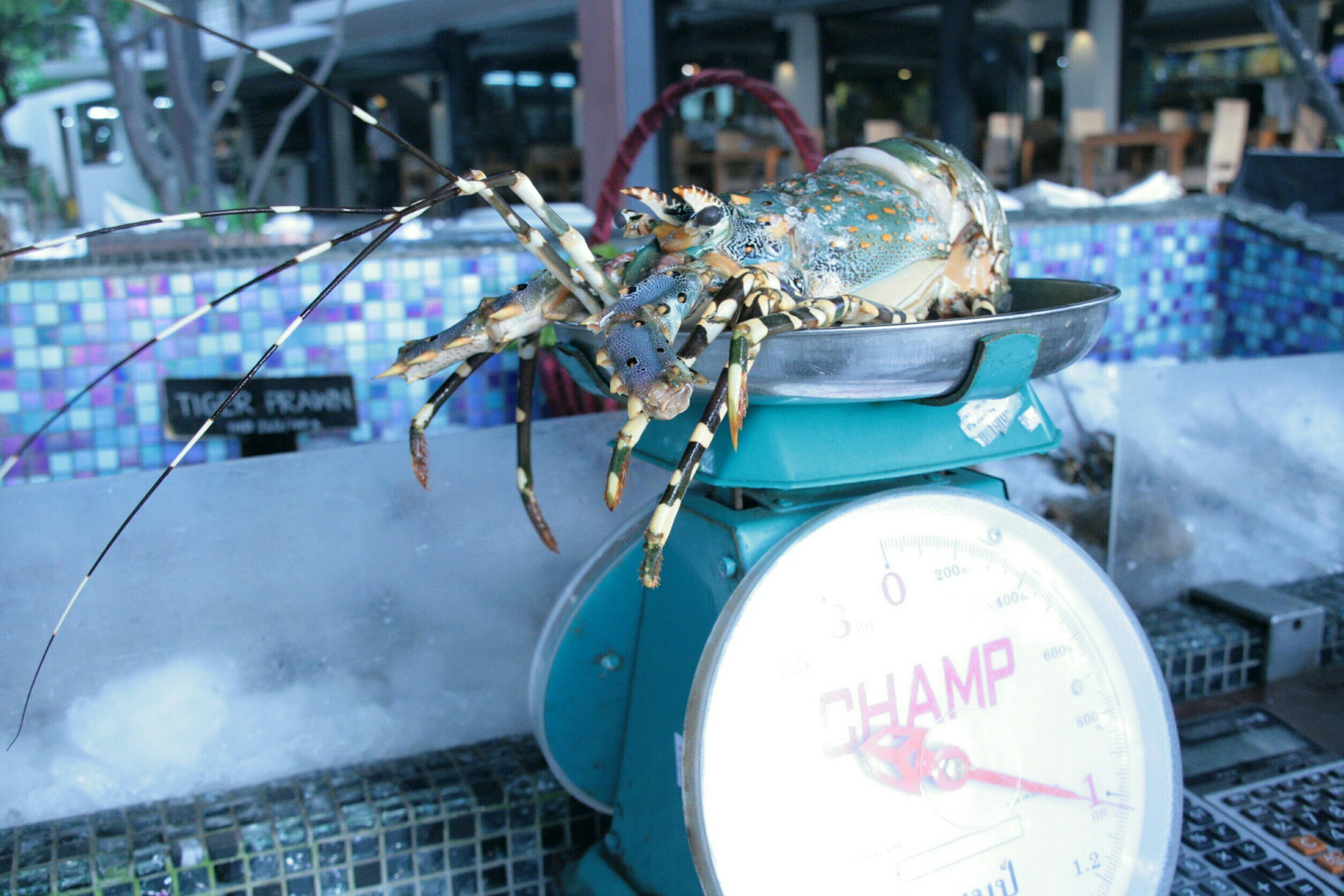 1608~1908_181005_0120