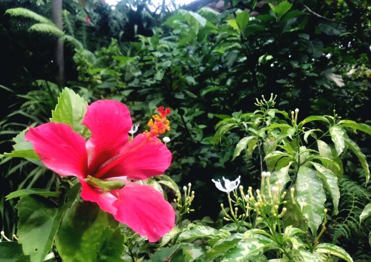 oe247883c804814c85822e78e55162ee7_23734728_181024_0004