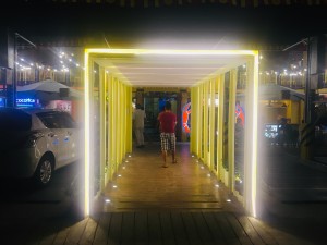 EA16C92E-B36C-4F4B-8FD2-5A5EBFEF1DCD