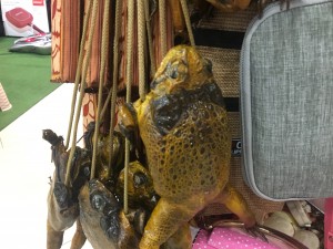 F2411FA5-59A2-490E-90A6-C4F2B03441DD