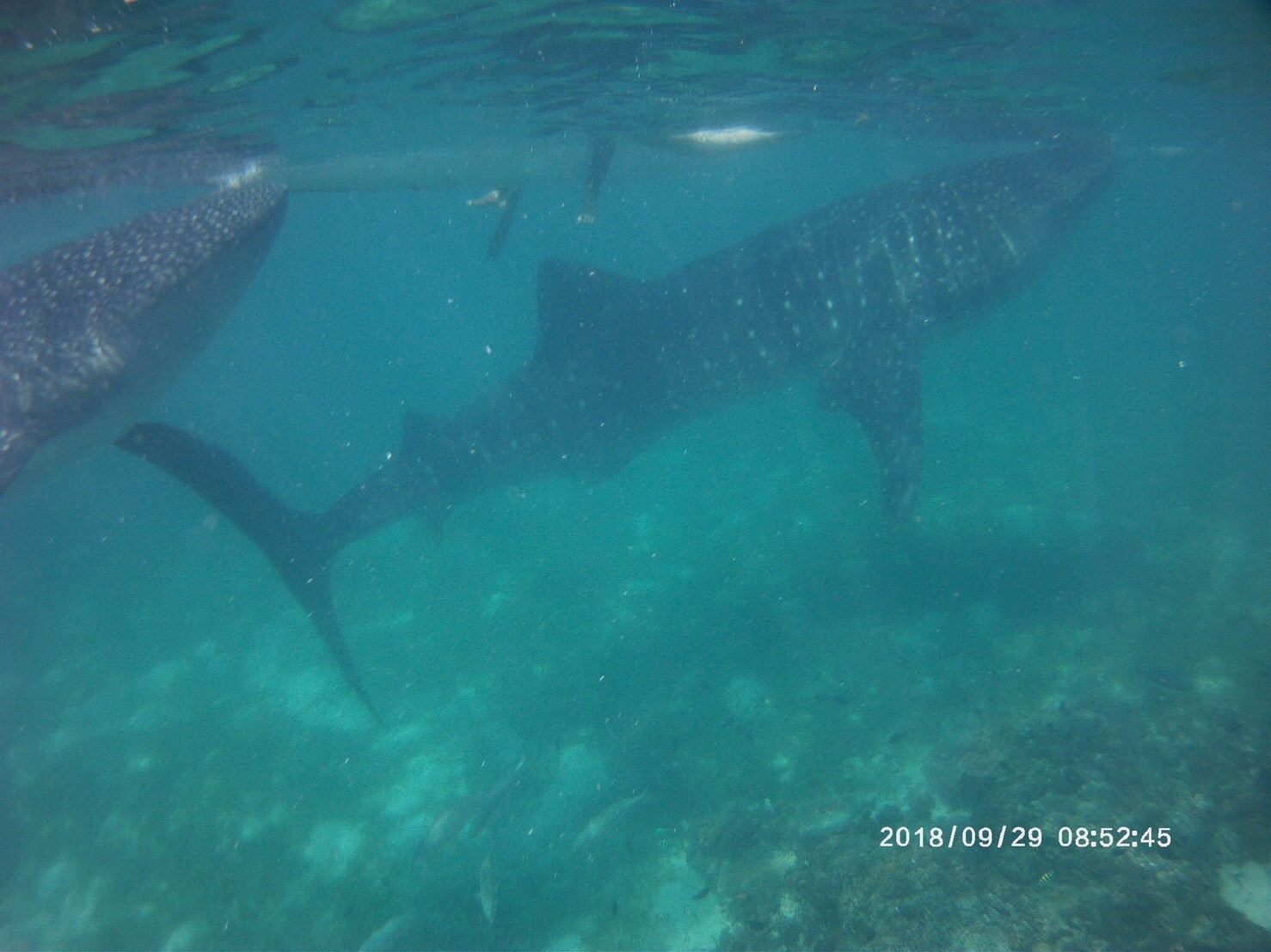 6E09E4BE-DEE7-4D5F-9BDF-81257A04BEDF