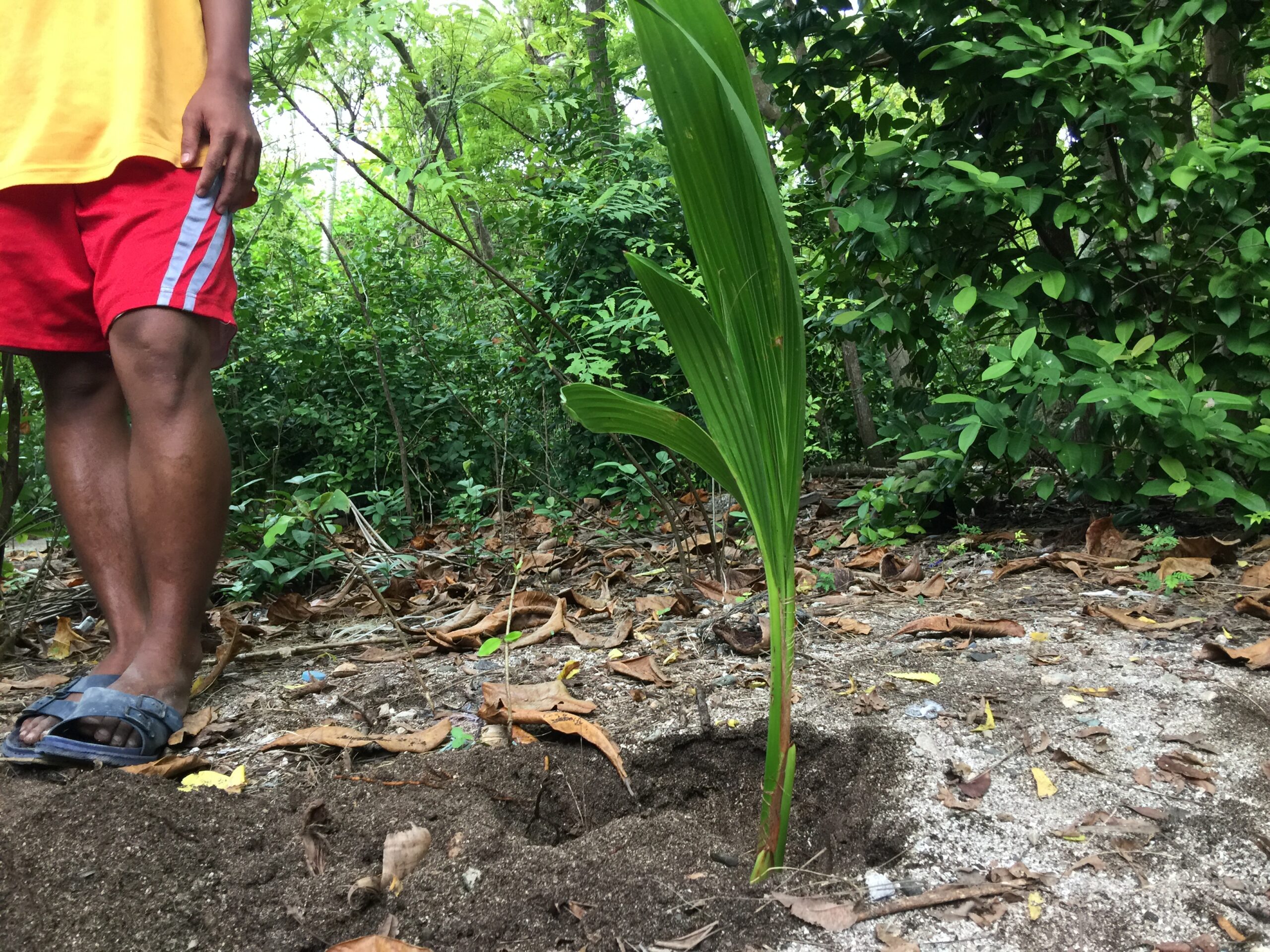 7F0653DB-A7C7-4EBB-9104-3923A18A9F87