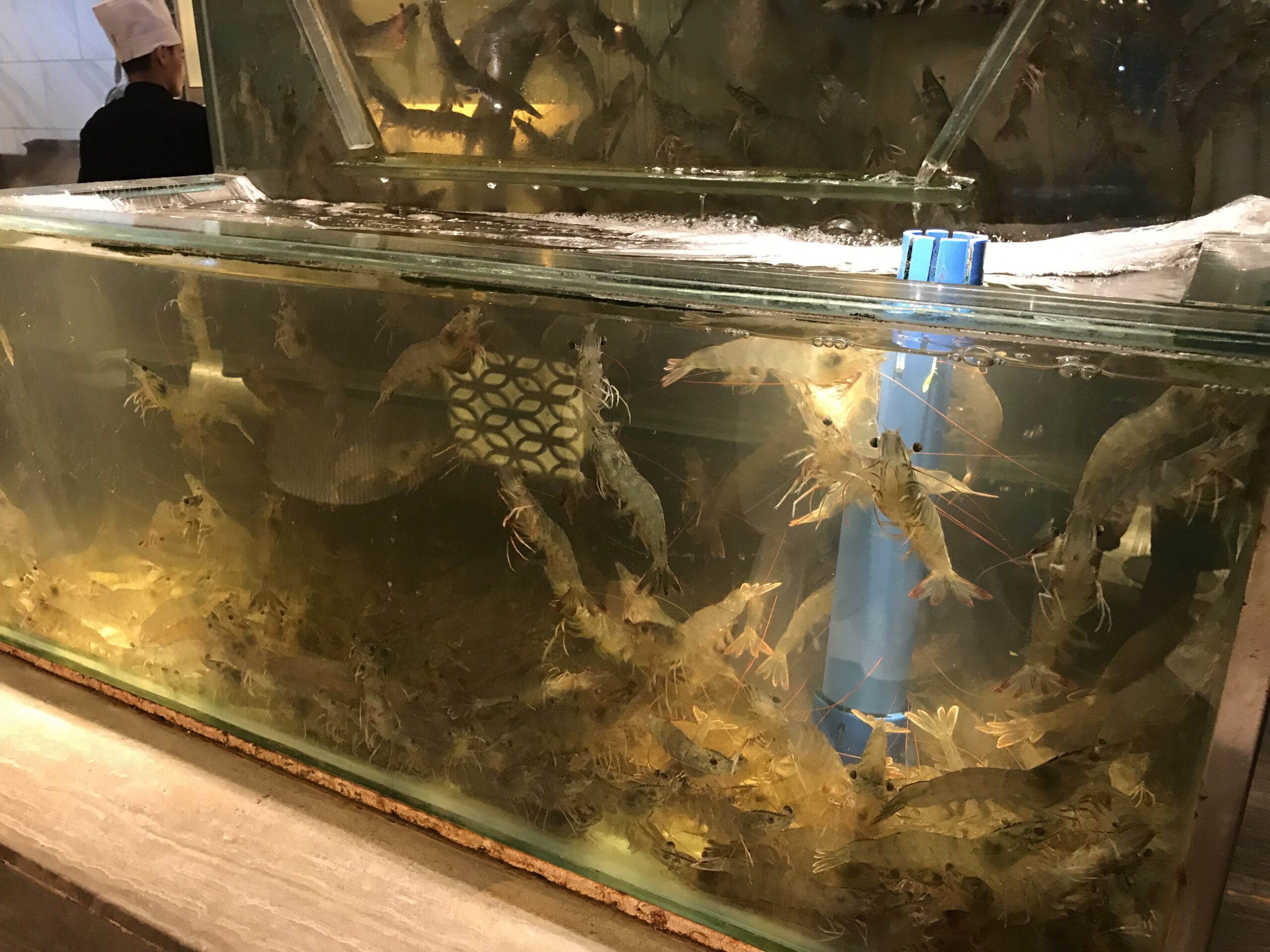 833AC65E-F13F-4273-B1BF-5C9F3CEFCE2E