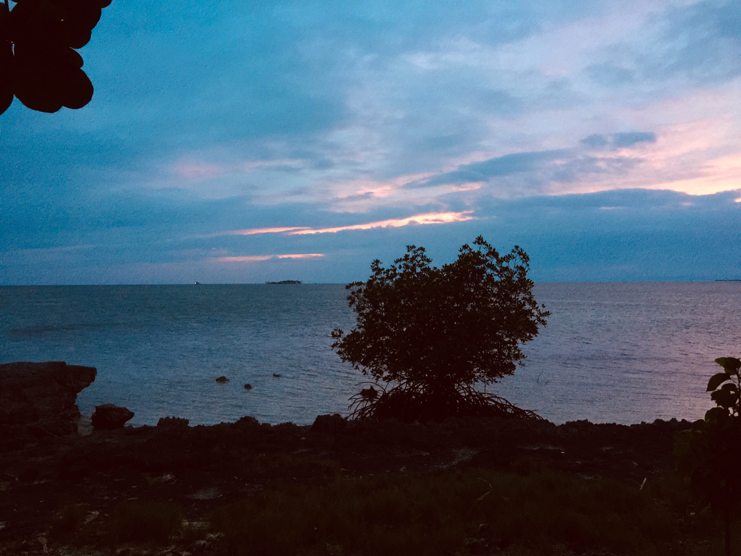 84AB0D05-3756-4A40-9B04-768FE6569703