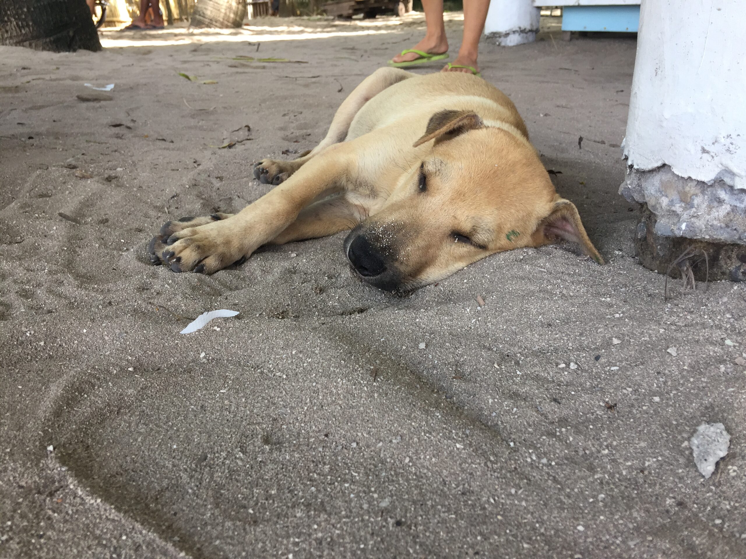 8F0C9B61-D18E-49A5-BED3-DAA5E86651FD