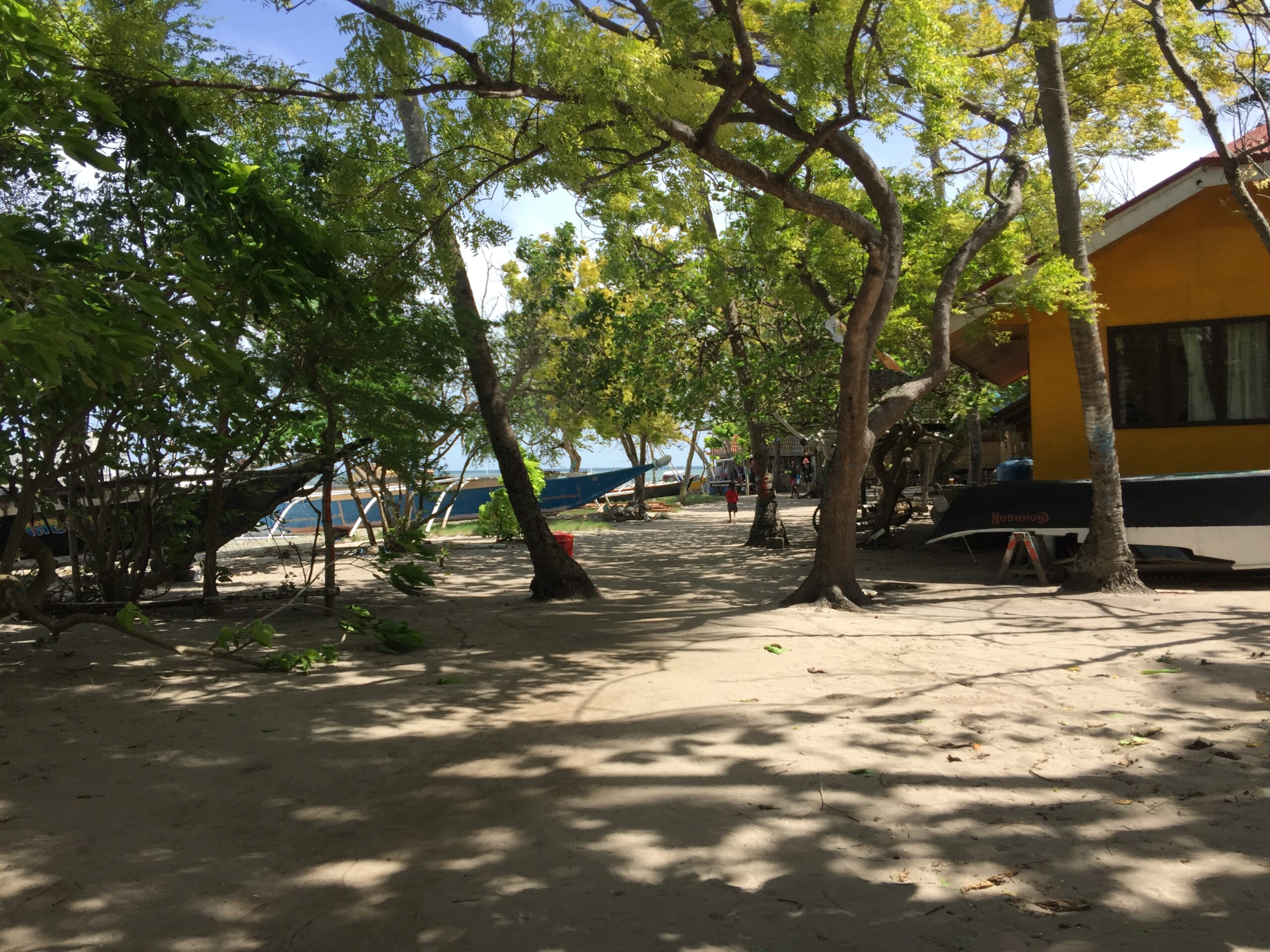 8F7A4568-3DED-48ED-BF7B-9AAA92BC15EF