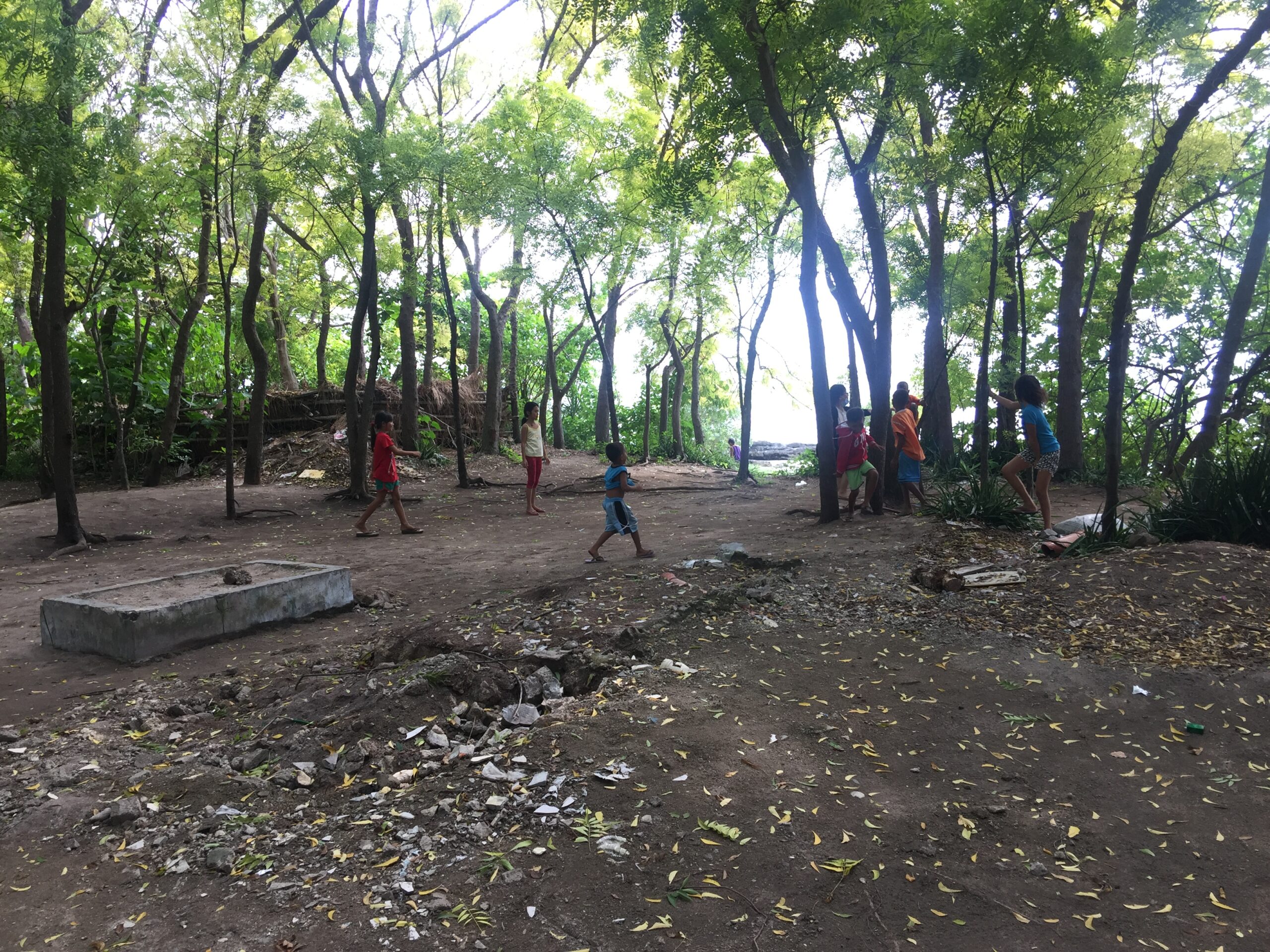 FF7729D8-5DF9-49FB-9CAB-3E314E0E9244