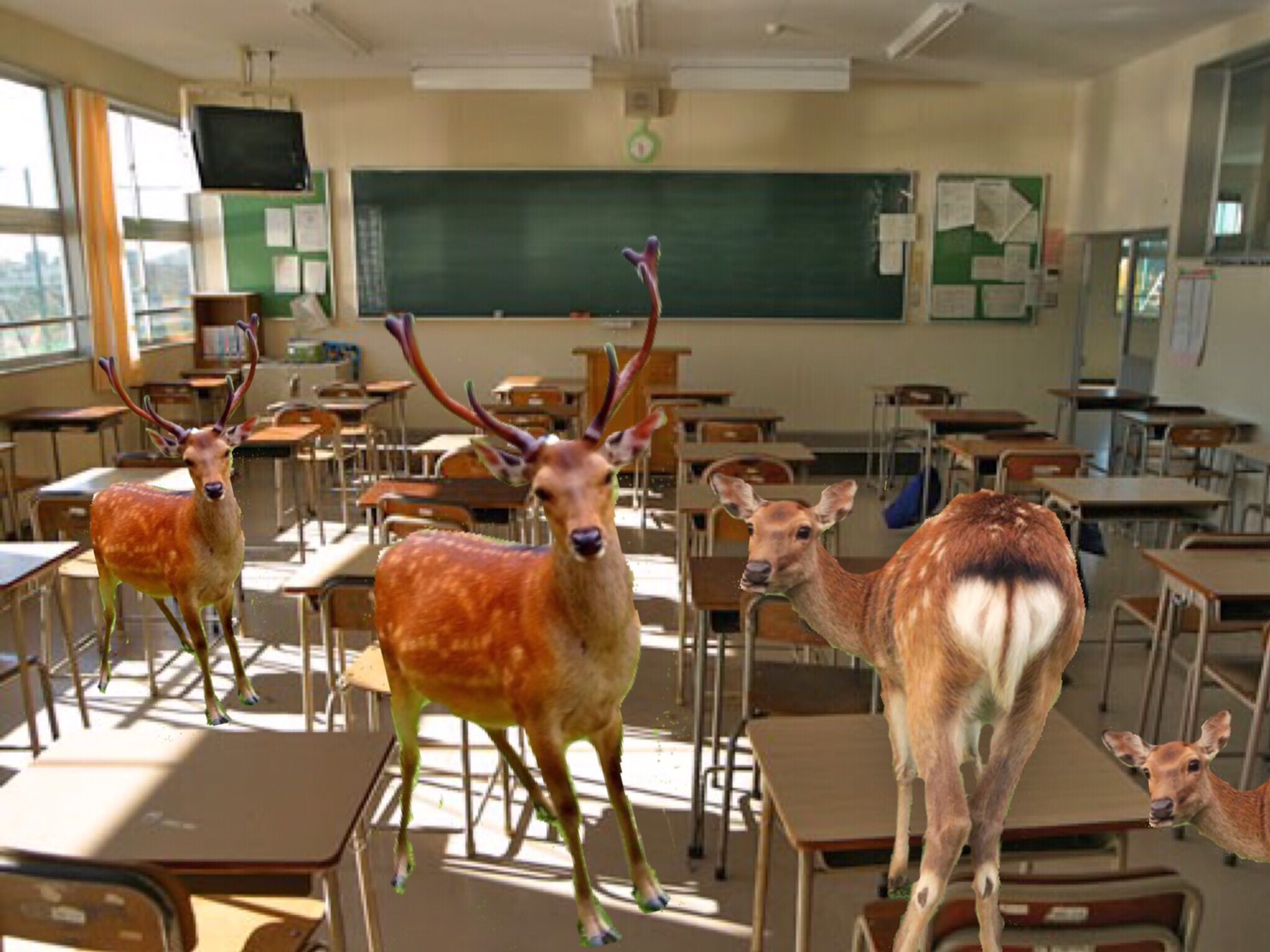 222A524D-1FAE-4833-9E0D-0C987C21ADCF