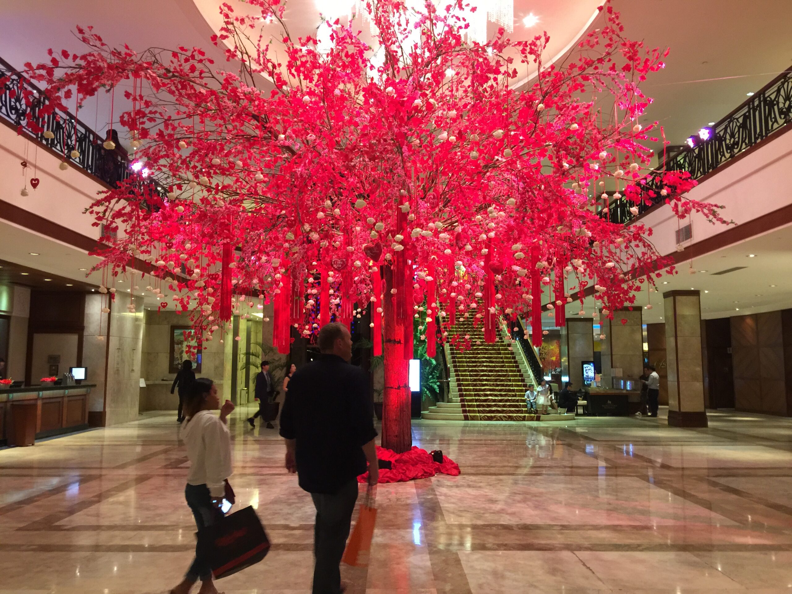 648D820D-7004-4535-83A0-850FE237C72D