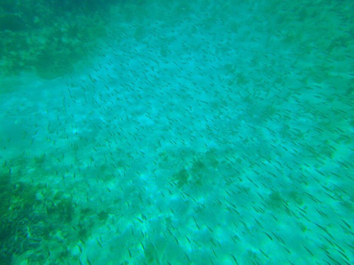 AD2CE3ED-8E3A-4631-ACDF-38D1EFEE5E8A