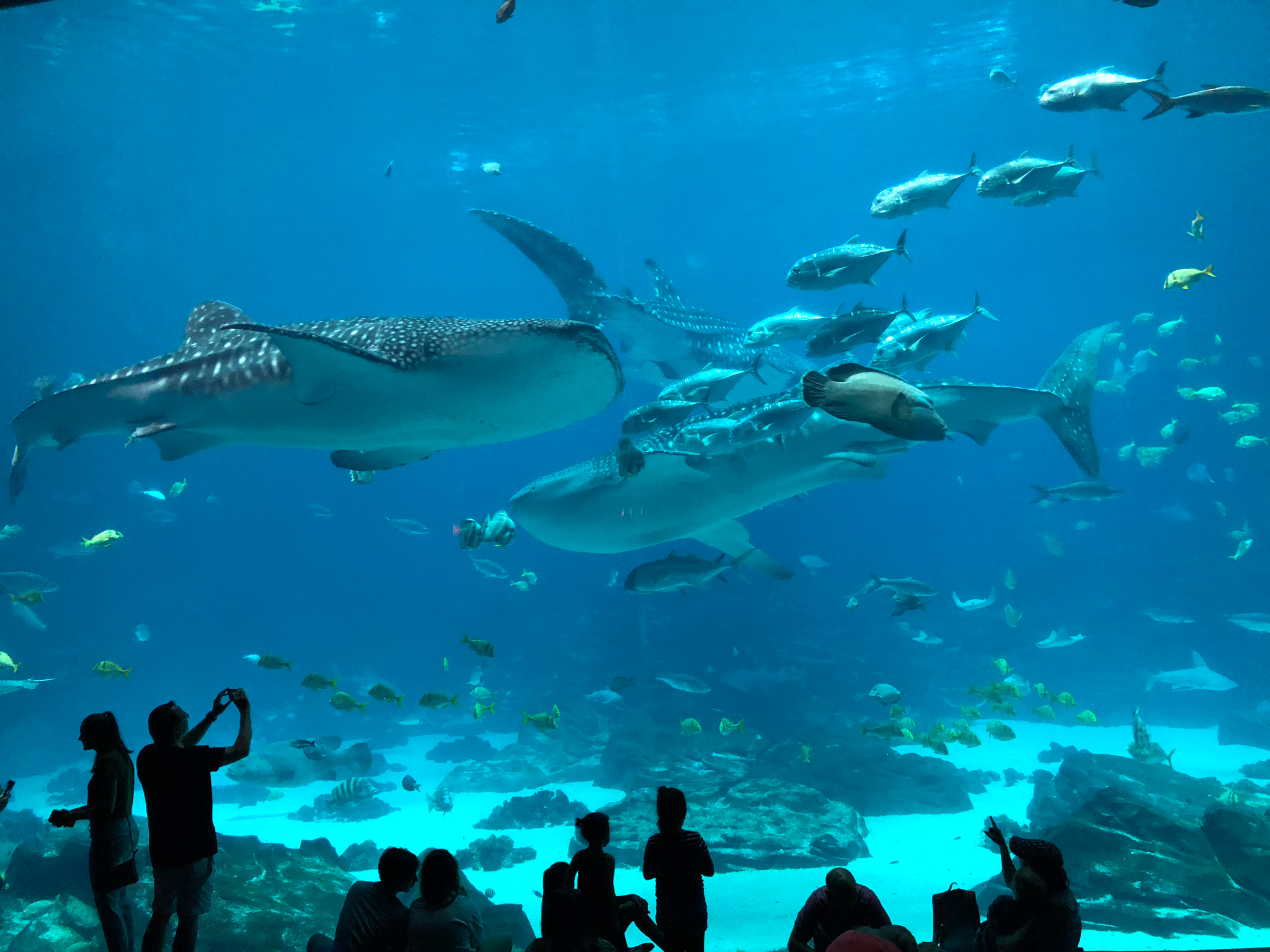 CED2BE05-5109-4847-83EA-DF87EA7003EC