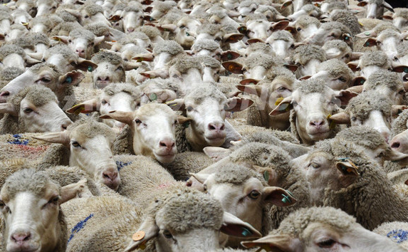 スクリーンショット 2019-02-14 17.40.52