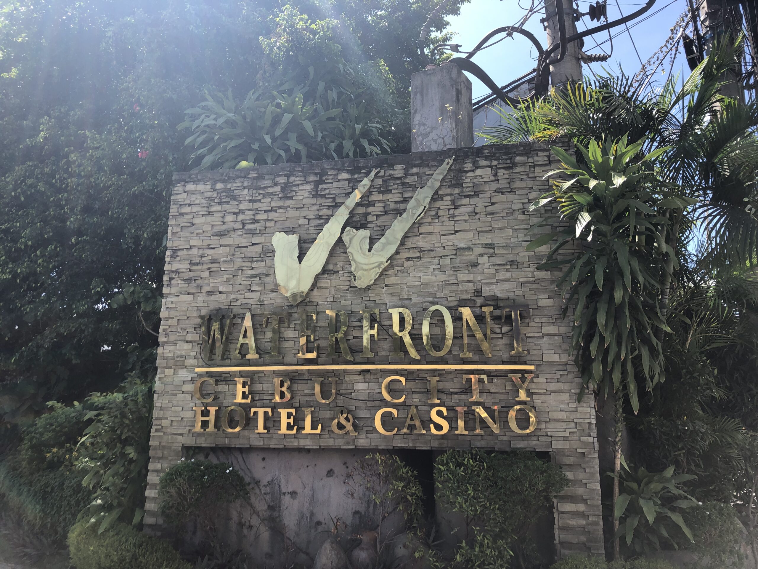 9BEB54DB-7CA9-4FC4-9DB1-C236692A9905