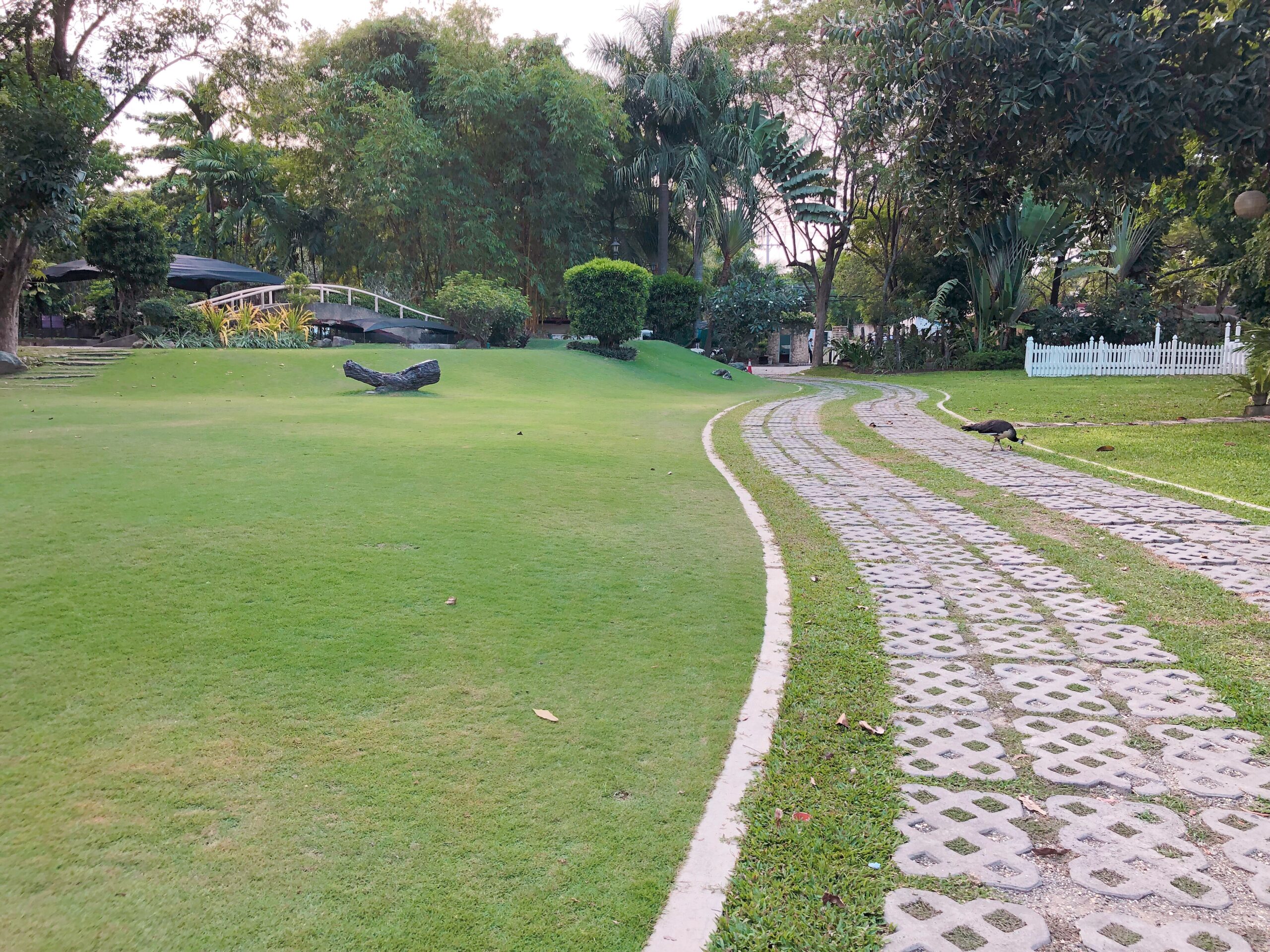 783C86A9-C07B-4649-BC80-007C20A53FEB