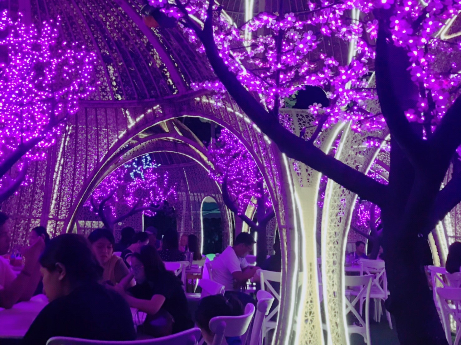 20190620_190620_0002