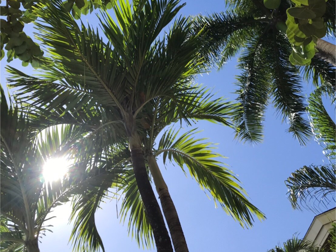 20190620_190621_0013